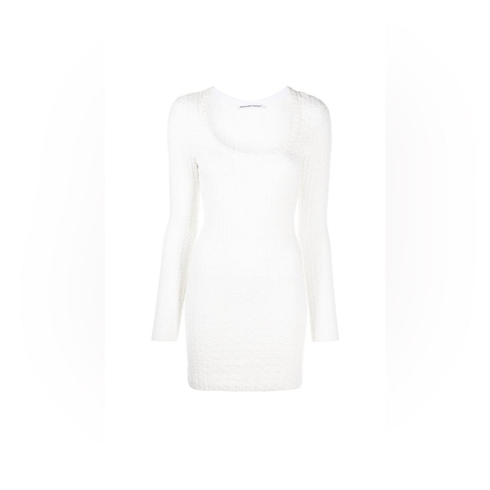 Alexander Wang Bodycon Logo Dress
